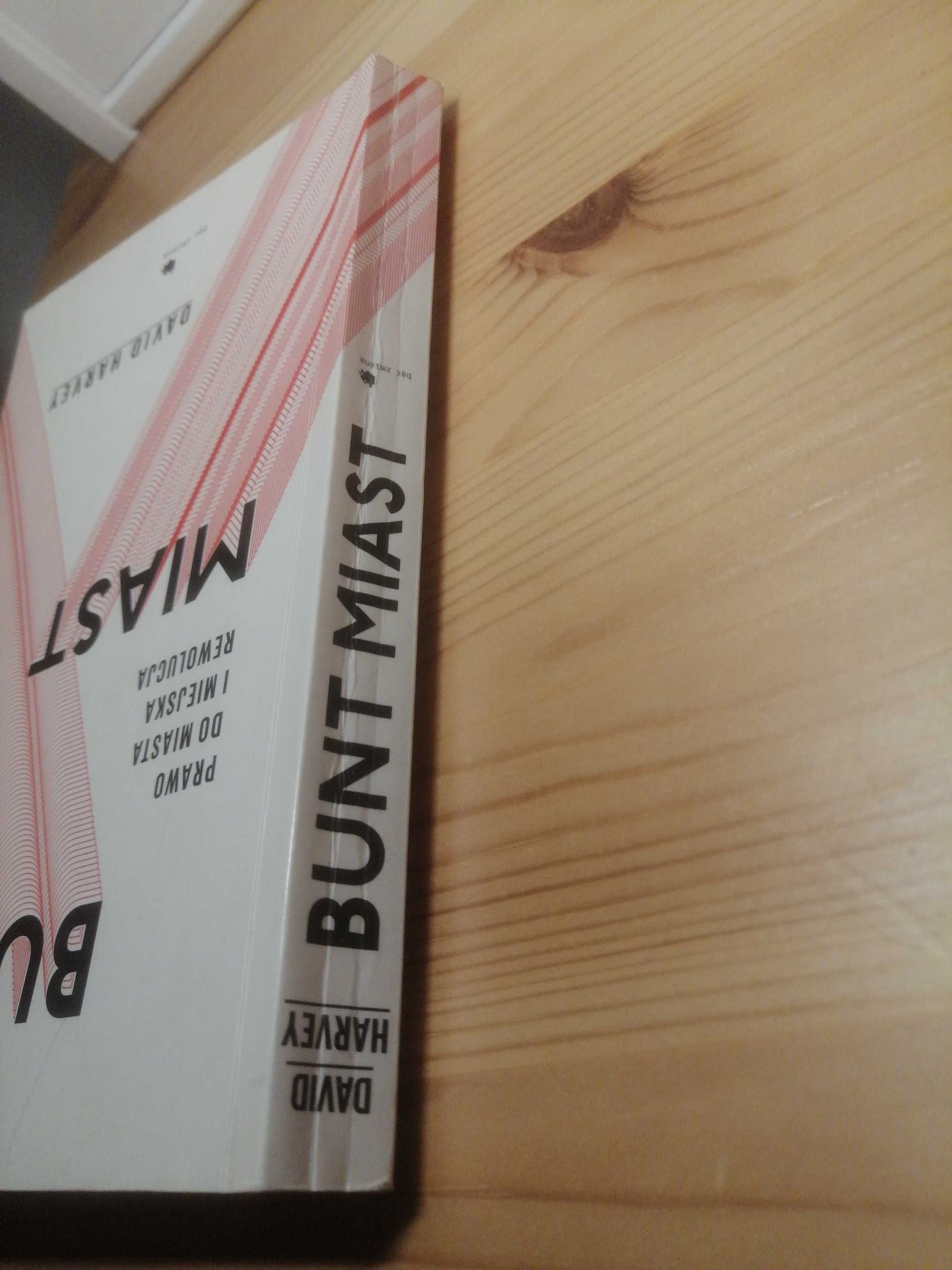 David Harvey Bunt miast