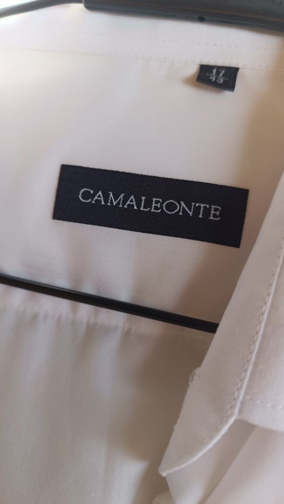 Camisas homem brancas novos lavadas