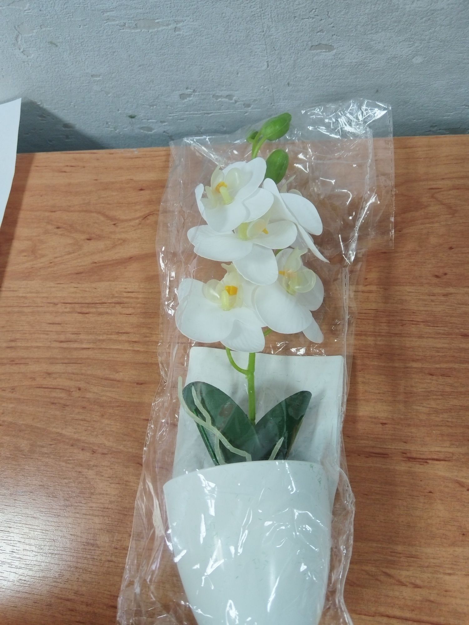 Orchidea w doniczce w kolorze białym