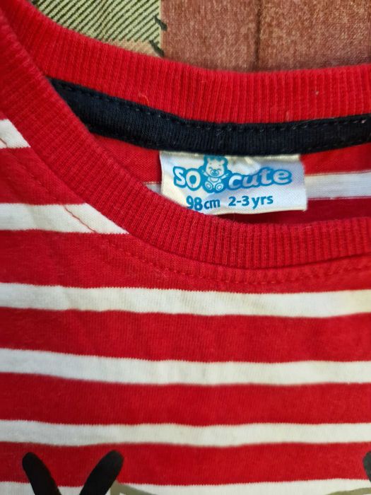 Реглан новый для мальчика Pepco на 2-3 года , рост 98 см