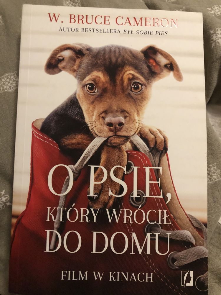 O psie, który wrócił do domu - W. Bruce Cameron