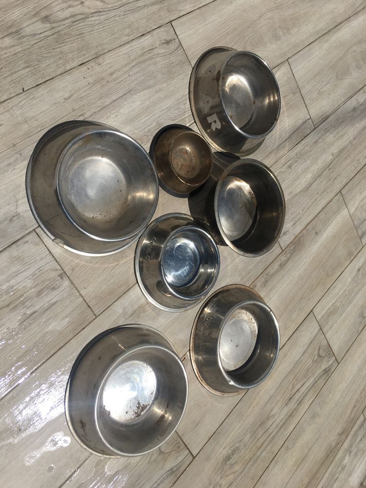 Taças para alimentação animal inox