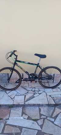 Bicicleta Adulto offroad