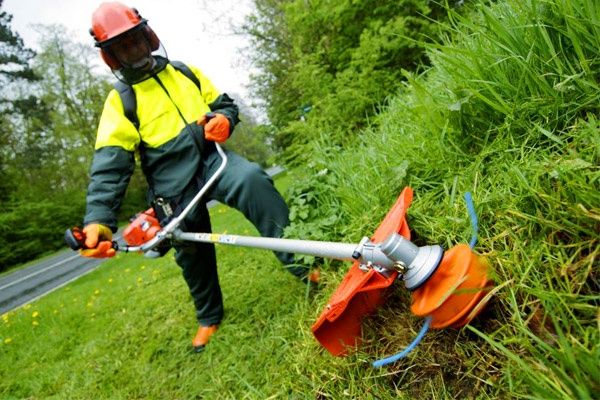 Косіня трави, газону, вирубка кущів, зачистка ділянок.