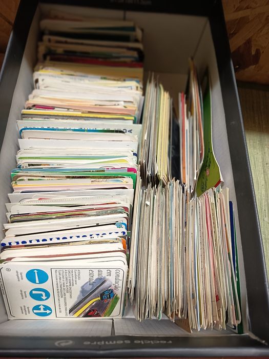 Calendárioe de coleção