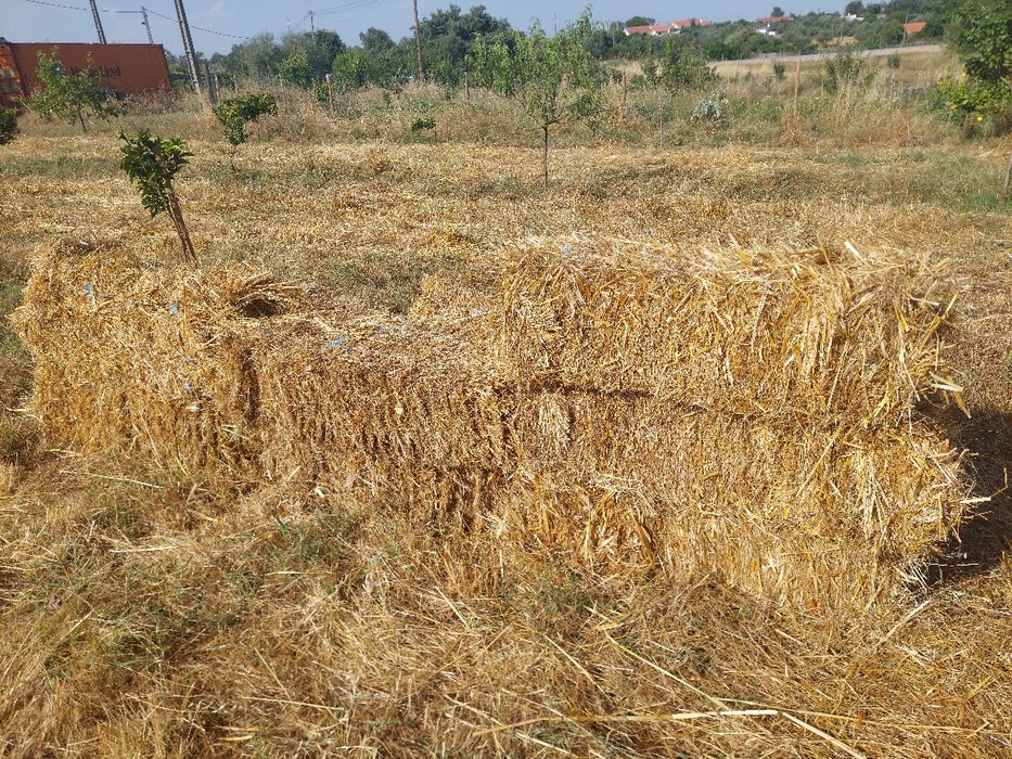Fardos de Palha 3,5 euros por fardo
