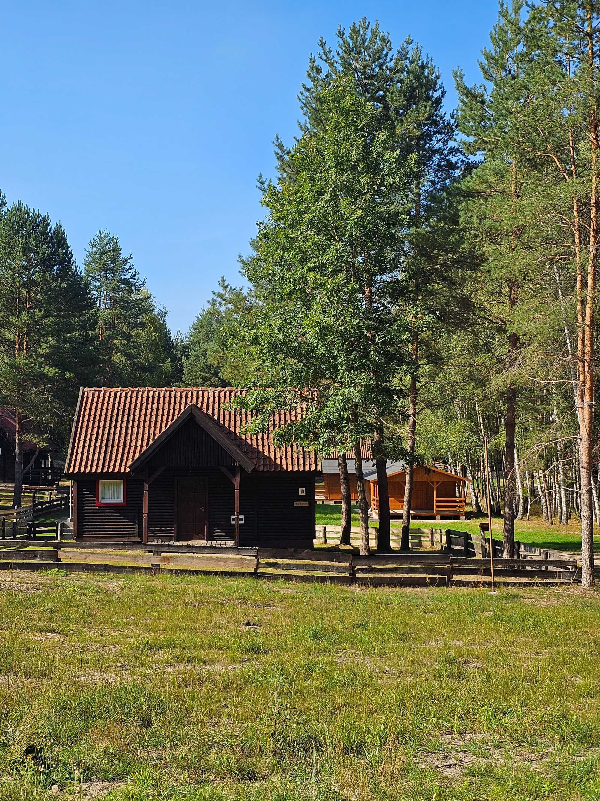 Domek w  otulinie lasów i jezior