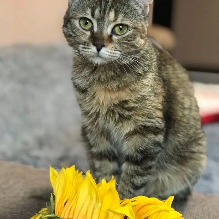 Отдам бесплатно!!