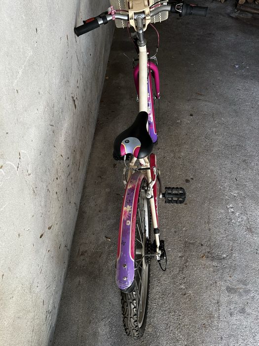 Bicicleta de adolecente
