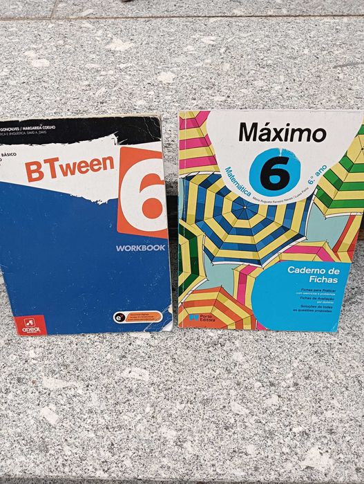 Cadernos de atividades e alguns manuais 8°/7°/6°/5°