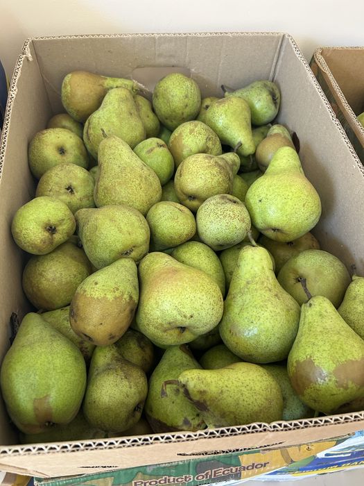 Еко груша ноябирська.грушка.груші.грушки