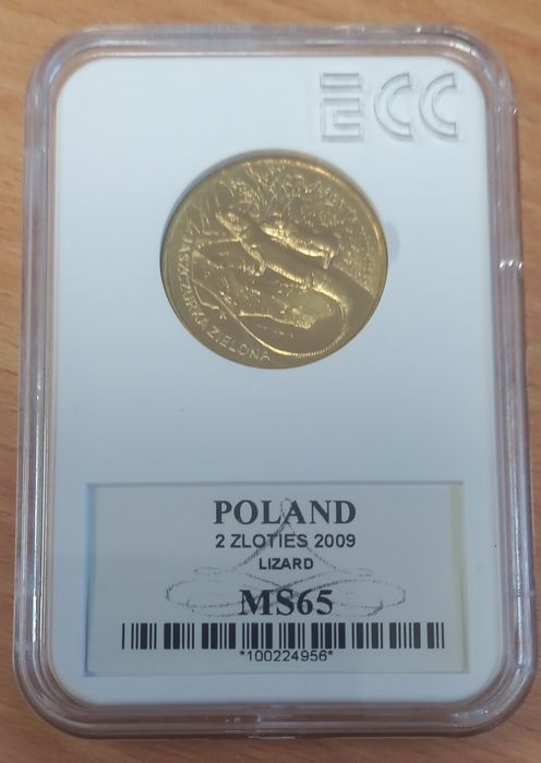 Jaszczurka zielona 2009 r. Grading MS 65 Polska