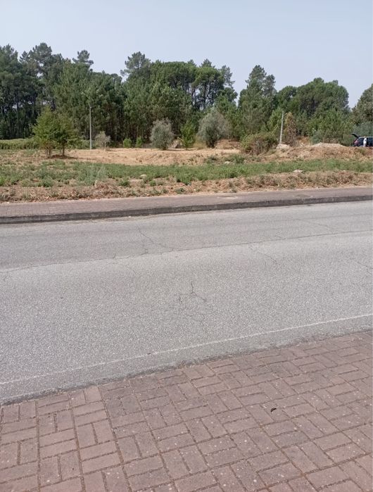 2 Terrenos em Cabanas de Viriato - Quinta do Fojo