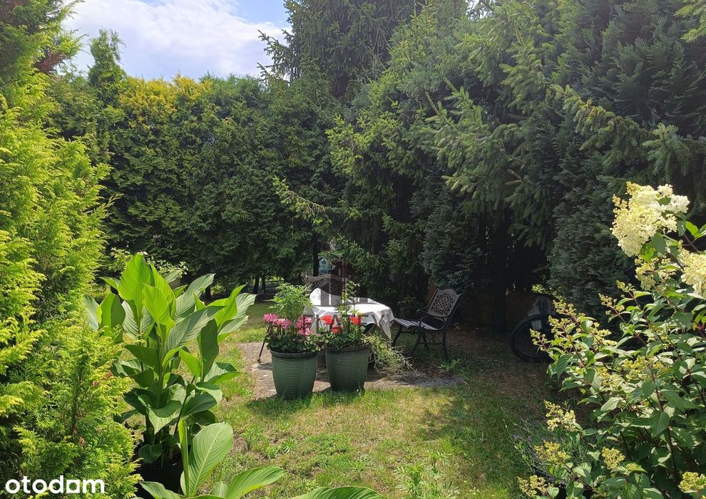 Dwa piętra domu na wynajem w Trzebini!