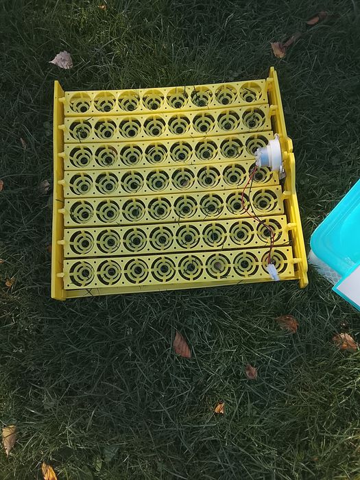 Inkubator do jaj