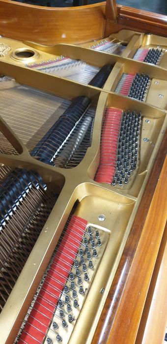 Fortepian Steingraber w cenie pianina