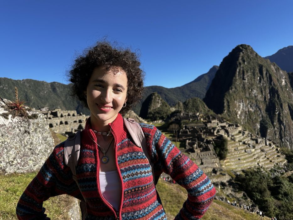 Korepetycje z HISTORII SZTUKI dla maturzystów/olimpijczyków (50zł-1h)