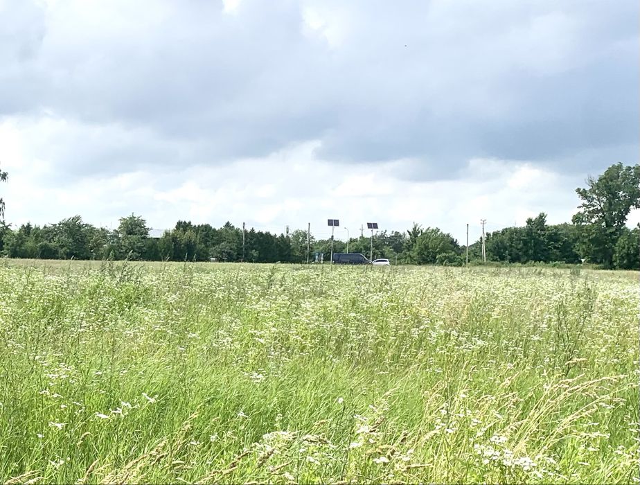 $ Продаж земельної ділянки в с. Грушвиця Друга