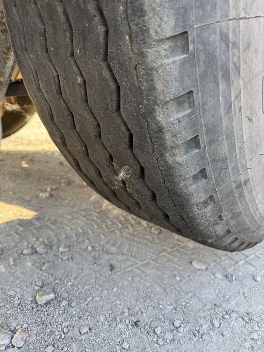 Напівпричіп самоскид BENALU TF34C-13RB