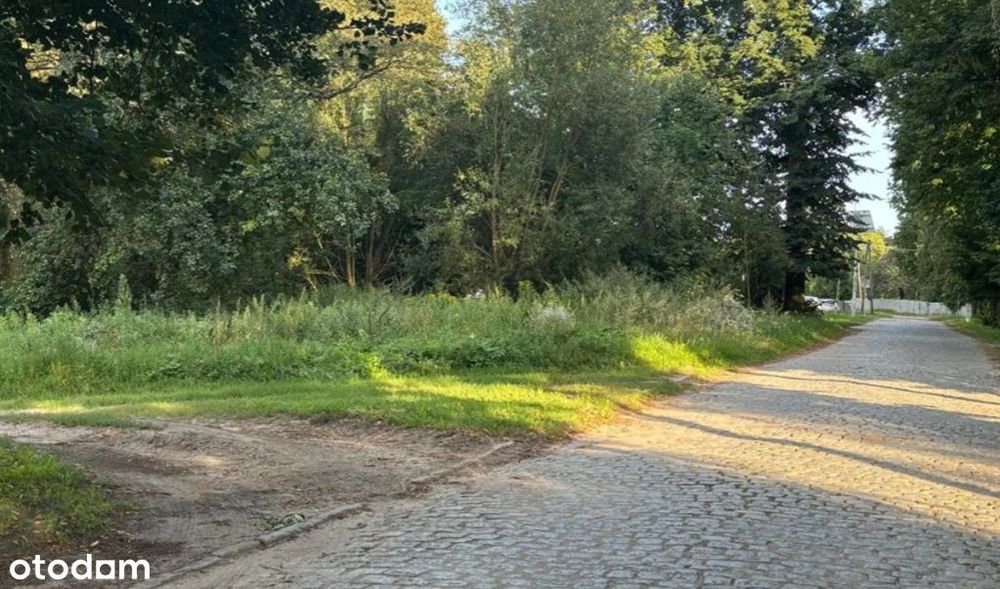 Działka budowlana z możliwością aktywności gospodarczej