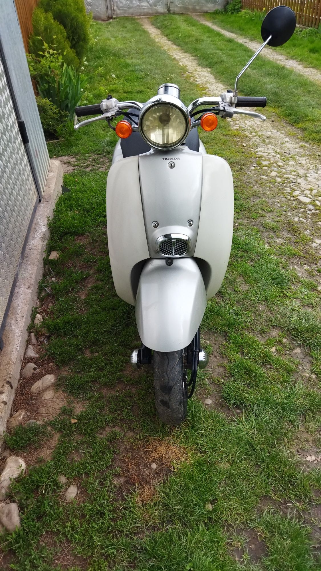 Honda Giorno Grea