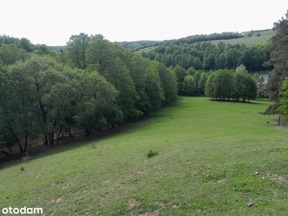 Działka nad jeziorem Wielki Głęboczek  80ar-1.6ha linia brzegowa