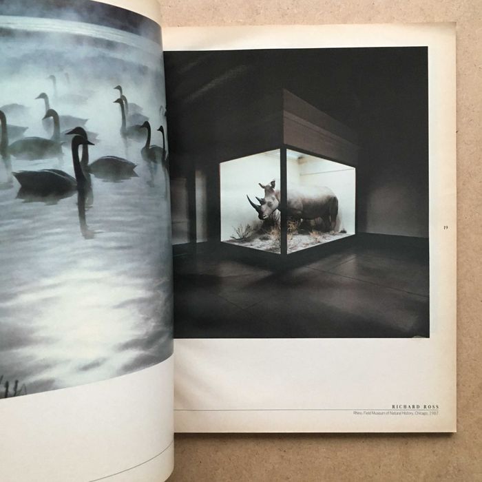 The World's Best Photographs, de 1980 a 1990, pela Life