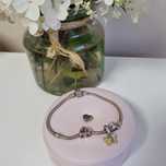 Pandora moments z zawieszkami charms