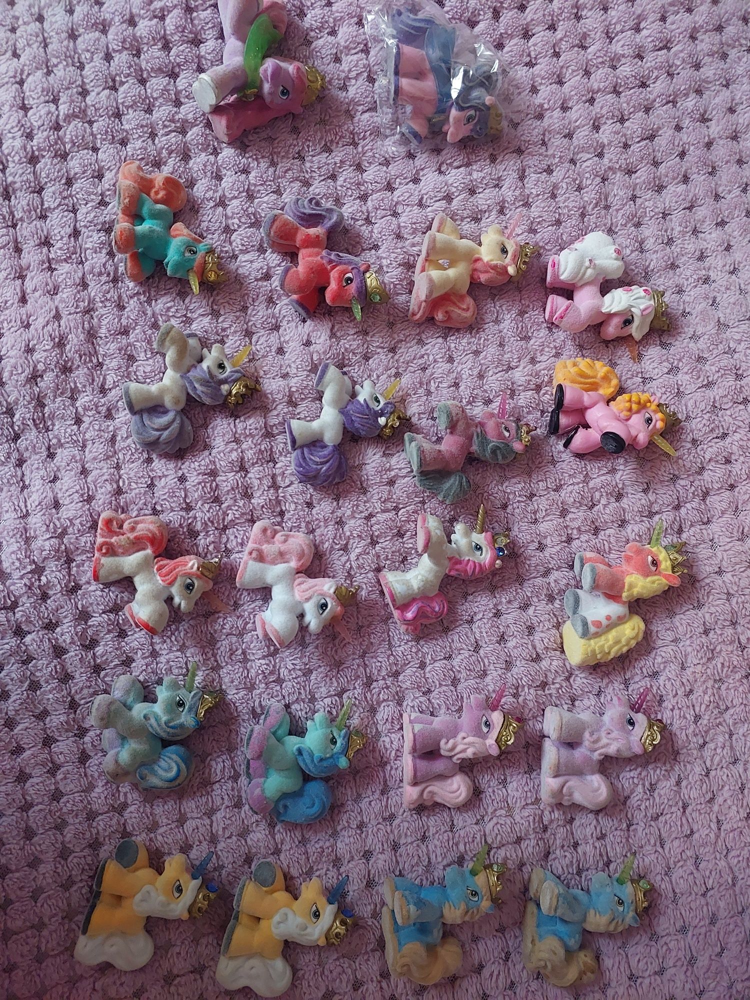 Поні філлі, pony filly