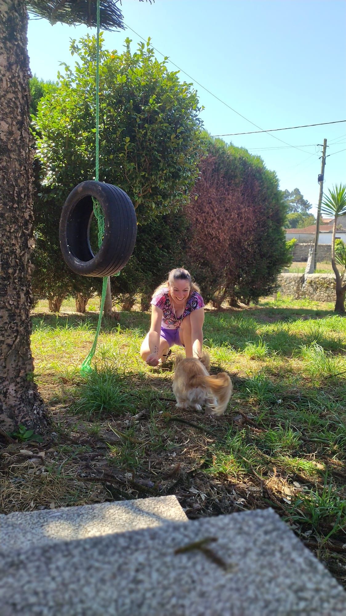 Hospedagem Familiar para Cães/Alojamento para GATOS/Pet Sitting