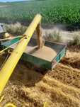 Kombajn New Holland Clayson 1520