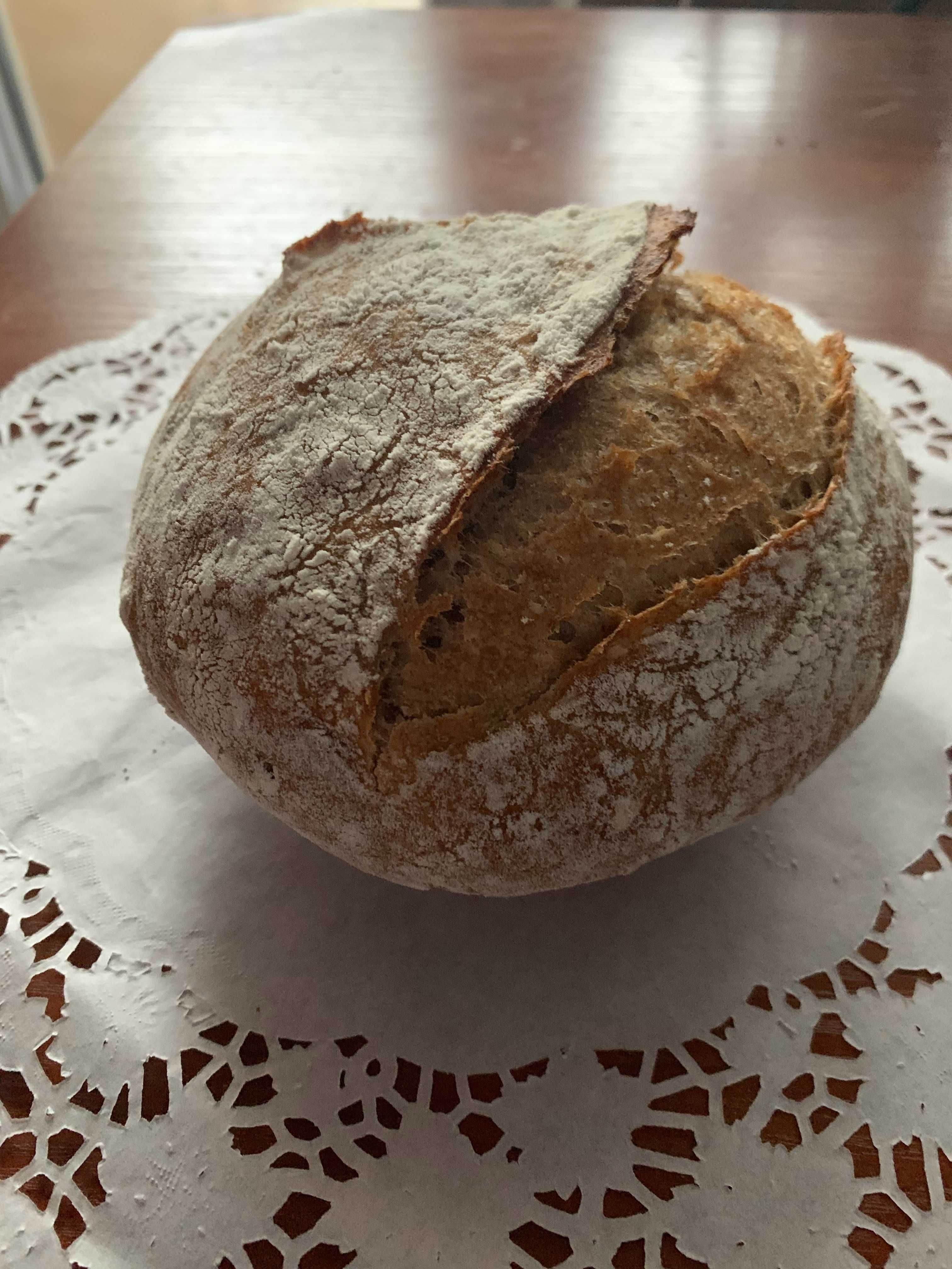 продам закваску ржаную и левито мадре(пшеничная).