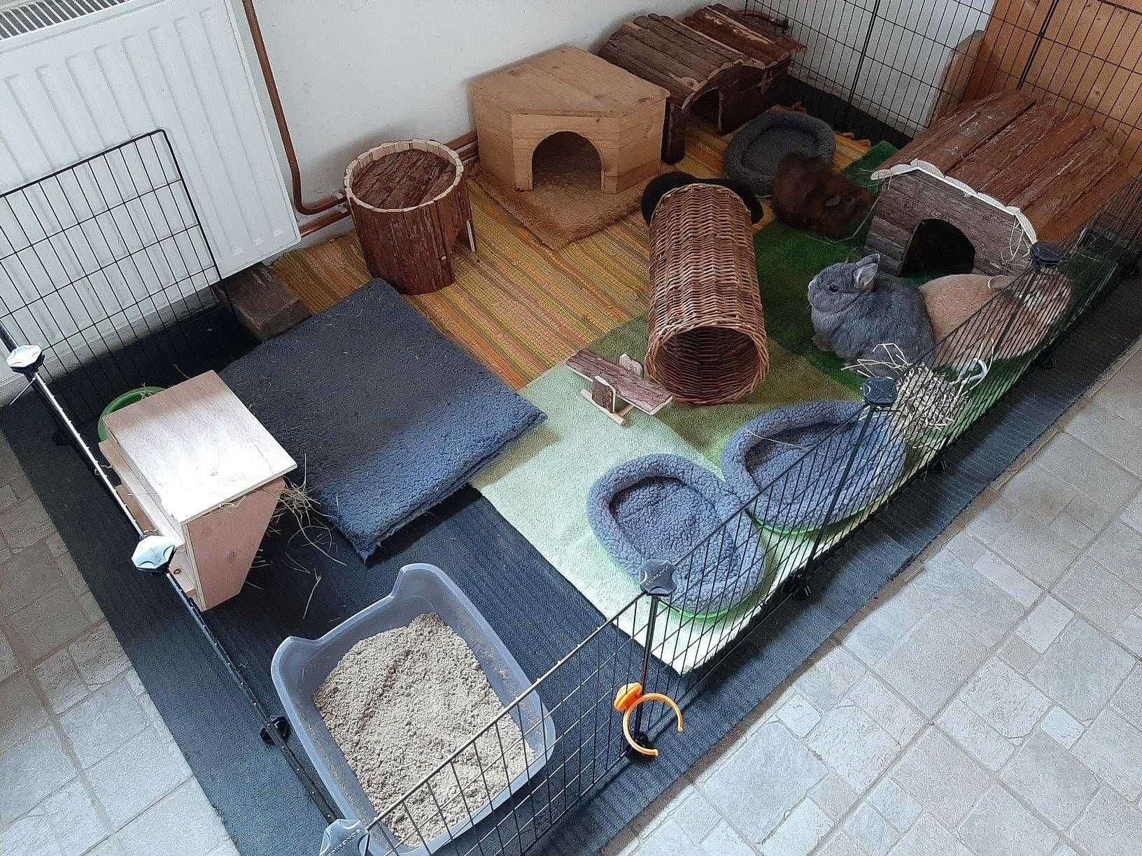 Klatka dla gryzoni królików świnki morskiej psa kota NOWA modułowa