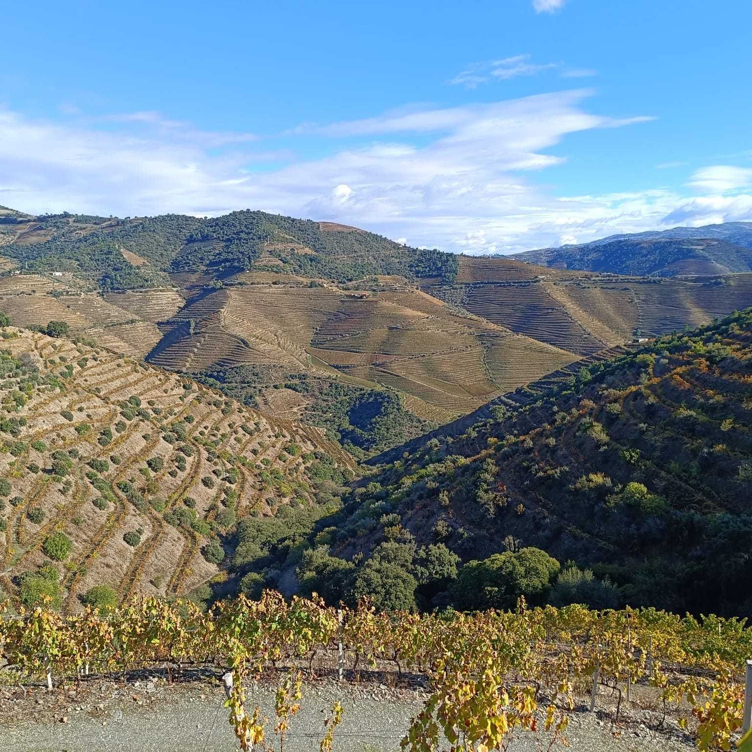 Quinta no Douro - Miradouro São Leonardo