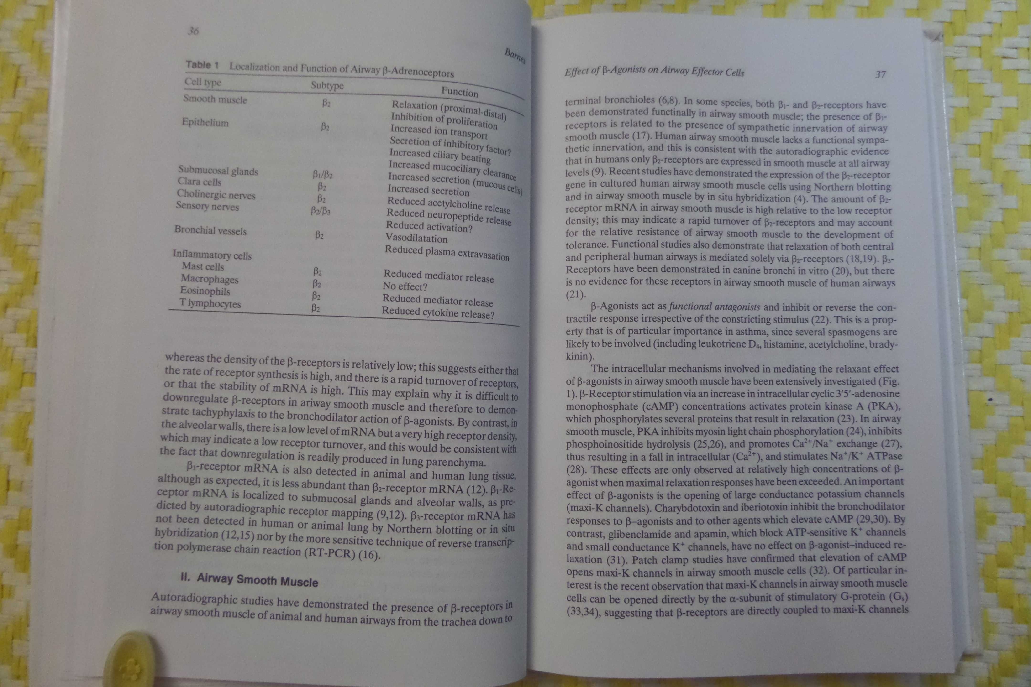 Beta 2-agonists in Asthma Treatment