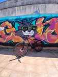 Bike de grau ou estrada aro 29 com cubo pro7,estilo brasil