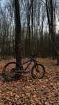dirt octane one zircus 2014