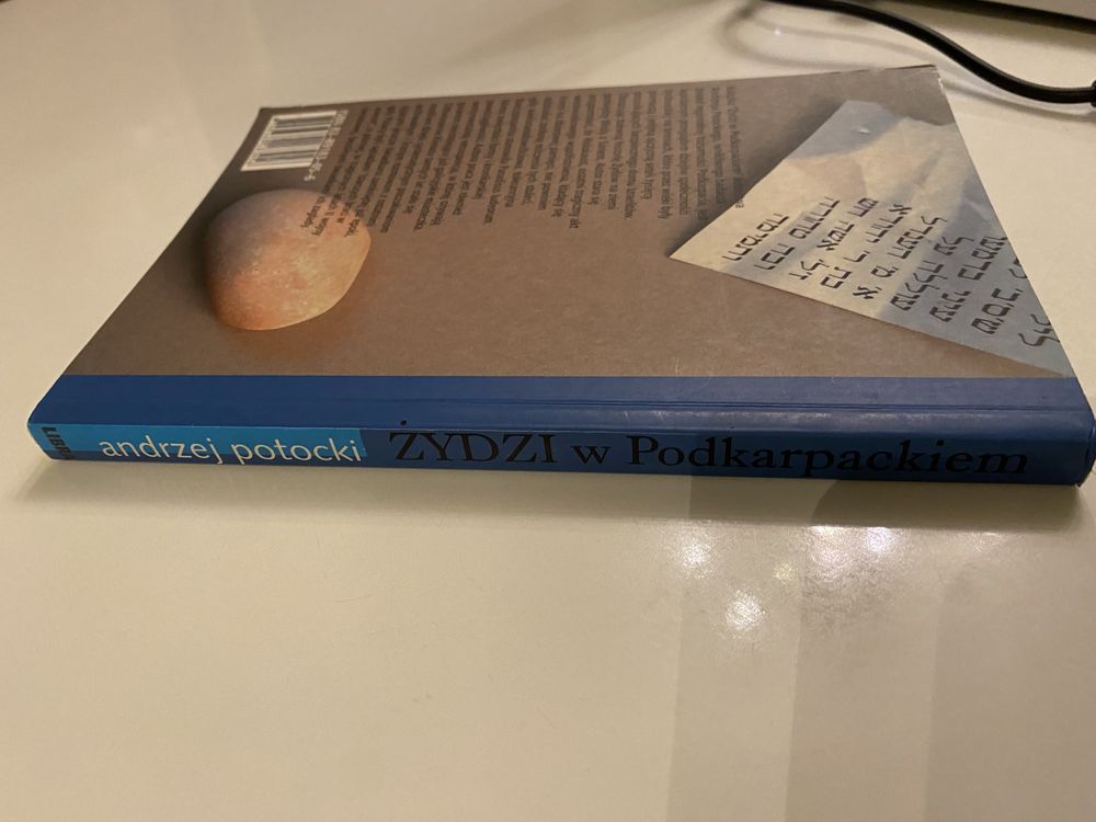 Andrzej Potocki . Żydzi w Podkarpackiem