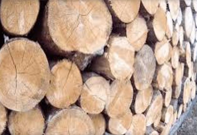 Продам дрова різних порід дерева звиртайтесі за номиром