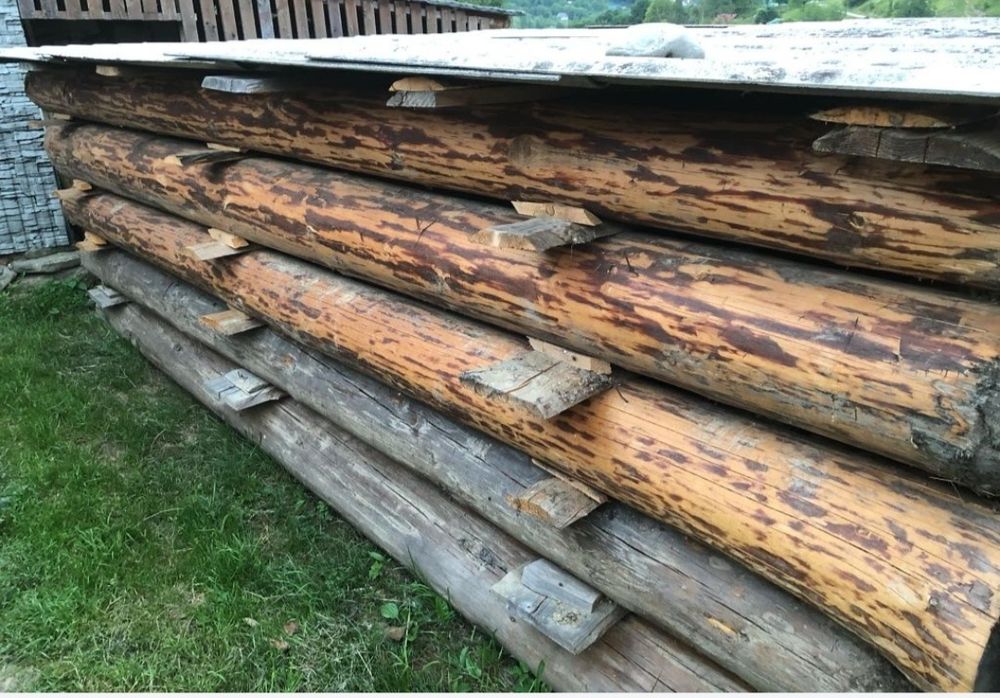 Продам зруб смерека