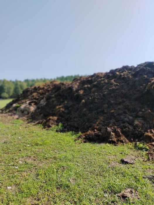 Obornik bydlęcy sprzedam zamienię na baloty słomy, siana sianokiszonki