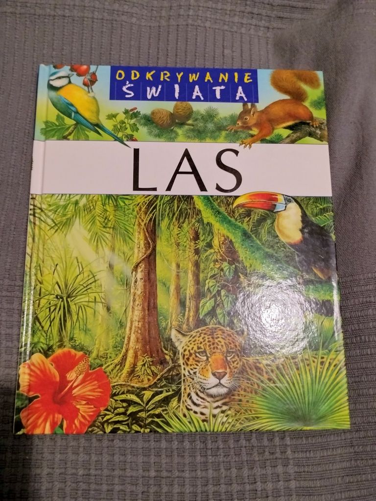 Encyklopedia dla dzieci - Las