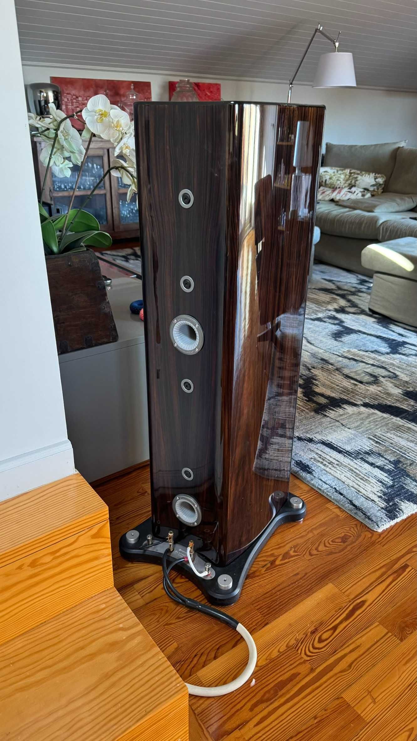 Vendo Colunas Monitor Audio PL 300