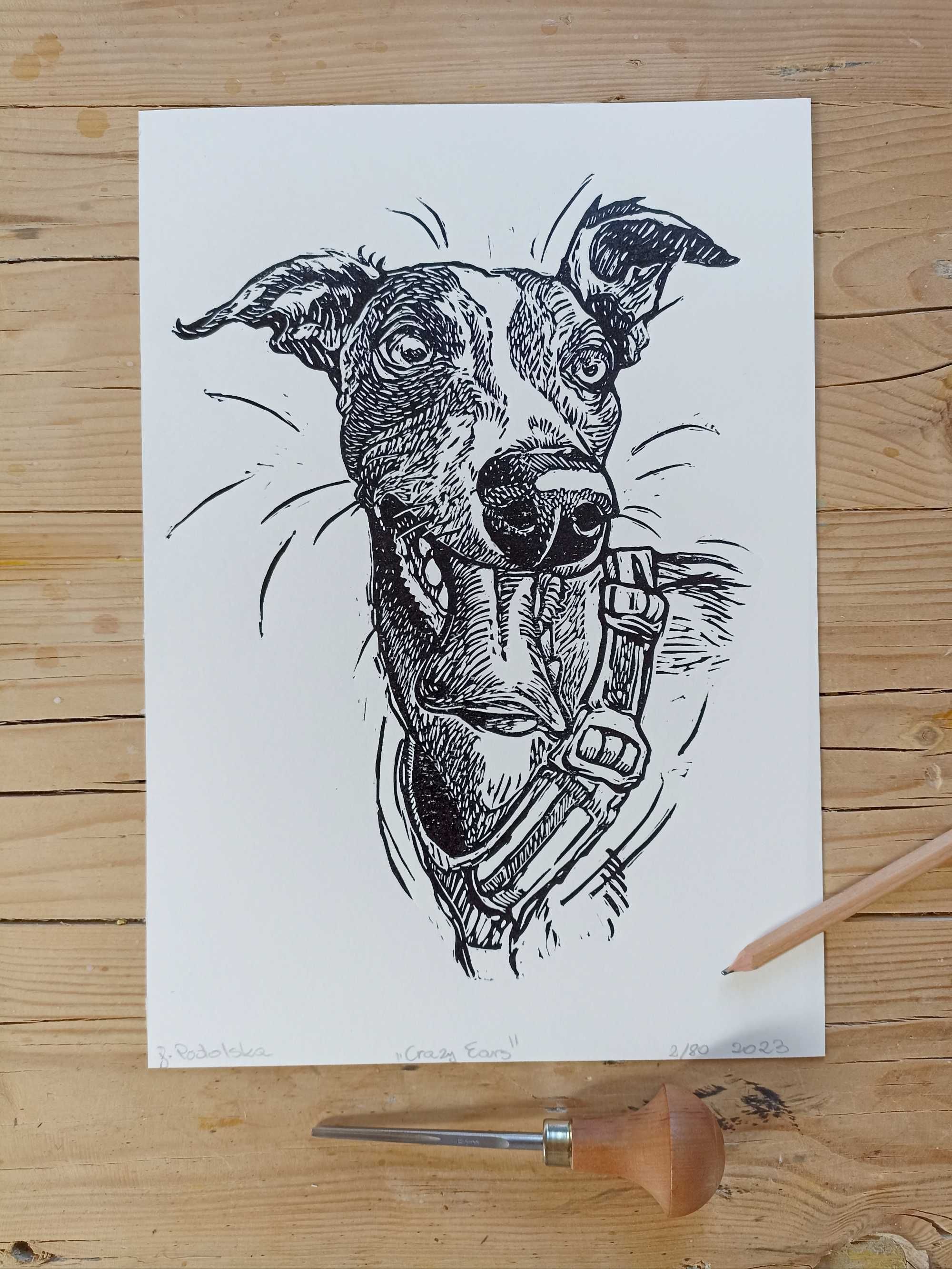 Linoryt, grafika, chart, whippet, portret wesołego psa