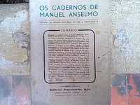 Os cadernos de Manuel Anselmo - Estudos Sociais e corporativos