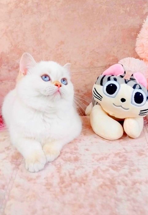 Чарівна крихітка Голубоока страйточка