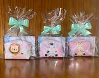 Porta Moedas Box - Lembrancinhas de Aniversário