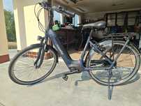 Rower gazelle arroyo C7 Elite, Bosch super stan