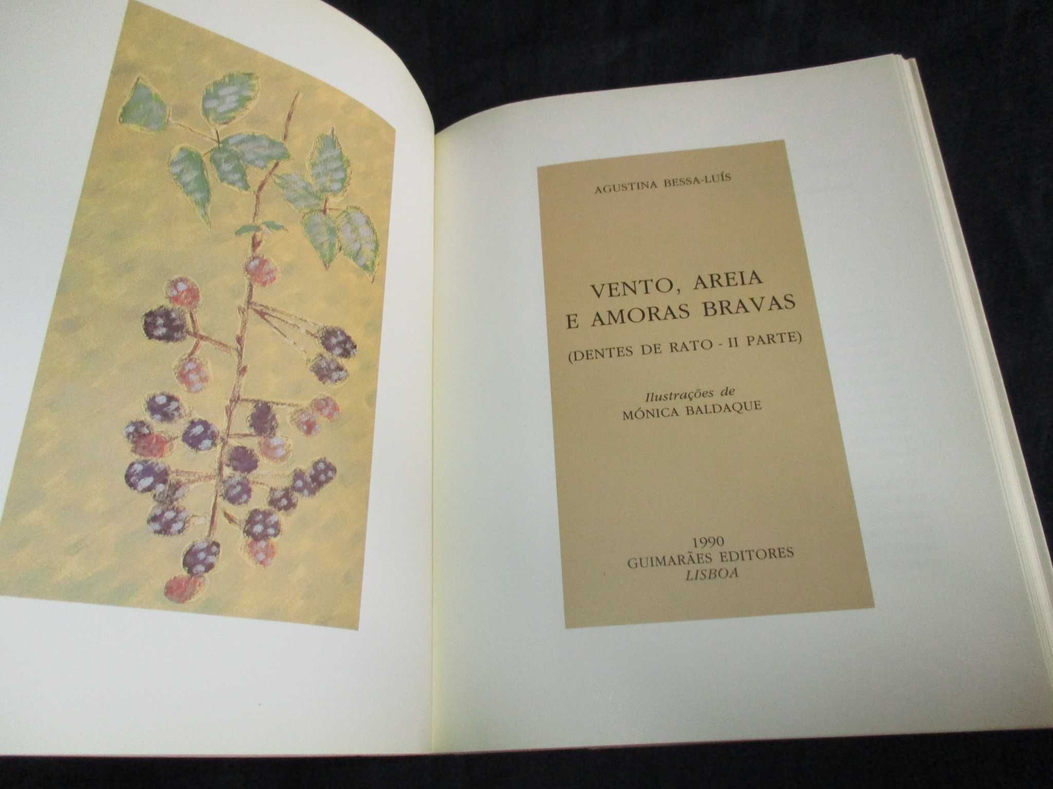 Livro Vento Areia e Amoras Bravas Agustina Bessa-Luís 1ª edição 1990