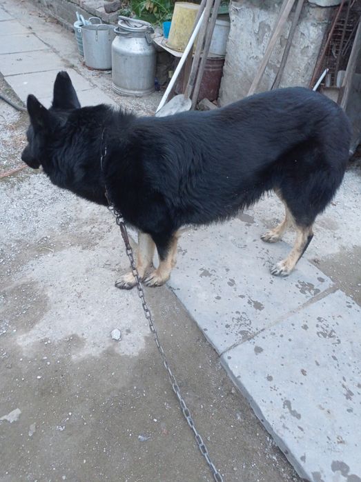 Шукаю безкошкоштовне житло,Впо, із Запоріжжя